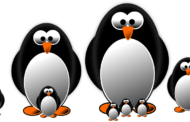 Google bestätigt Penguin 4.0